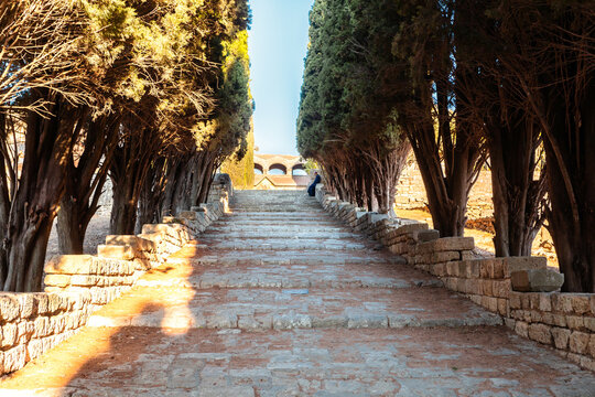 The territory of Filerimos Monastery on the island of Rhodes in Greece