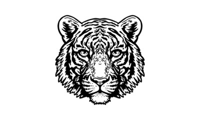 Bengal tigre on white background, vector, illustration logo, sign, emblem.