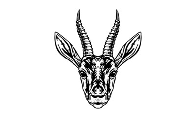 Chinkara on white background, vector, illustration logo, sign, emblem.