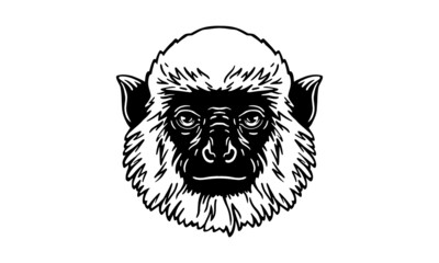 Gray langur on white background, vector, illustration logo, sign, emblem.