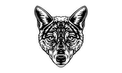 Fototapeta na wymiar Indian wolf on white background, vector, illustration logo, sign, emblem.