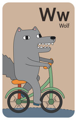 Wolf W letter. A-Z Alphabet collection with cute cartoon animals in 2D. Wolf riding a green bicycle. A grey wolf smiling and showing its sharp teeth. Hand-drawn funny simple style.