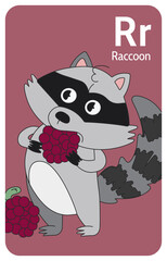 Raccoon R letter. A-Z Alphabet collection with cute cartoon animals in 2D. Raccoon standing and eating raspberries. Grey raccoon is looking aside like it watching show. Hand-drawn funny simple style.