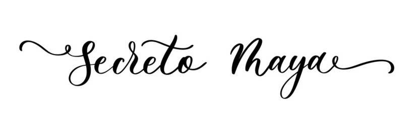 Secret Maya vector inscription in spanish