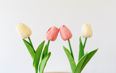 mockup of tulips flowers on a white background