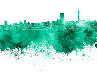 Obraz premium Johannesburg skyline in green watercolor on white background