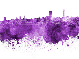 Fototapeta premium Johannesburg skyline in purple watercolor on white background