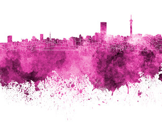 Fototapeta premium Johannesburg skyline in pink watercolor on white background