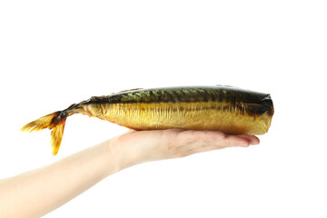 Female hand holds smoked mackerel, isolated on white background