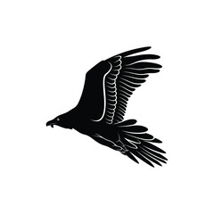 bearded vulture bird silhouette vector illustration abstract