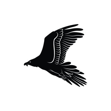 recommend clip art: bearded vulture bird silhouette vector illustration abstract