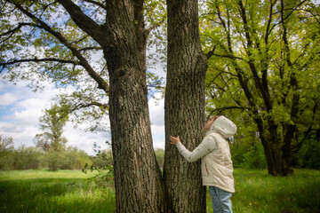 Naklejka na ściany i meble Kid teenage girl hugs tree in forest, love and protection of nature, respect for environment