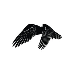 bearded vulture bird silhouette vector illustration abstract