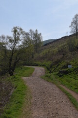 Fototapeta na wymiar a path going up the Malvern hills