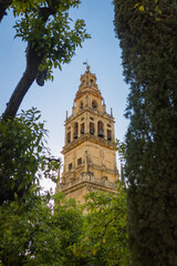 The bell tower of Cathedral Mosque of Cordoba, Spain