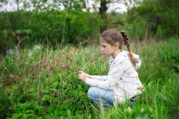 Cute child look at plants in meadow in forest, botanical excursion and young researcher, walks and curiosity, interest in nature