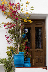 Colorful flowers in blue pots in front of vintage door