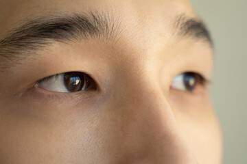 Dark brown eyes of young Asian man blinking and looking away. Face of handsome male model with lush...