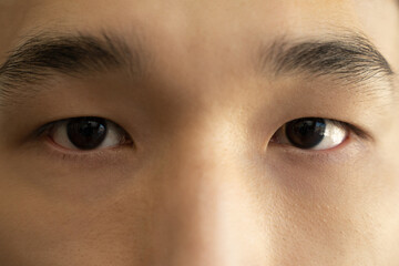Eyes of young Asian man with dark brown iris and eyebrows. Face of handsome male model with eyes...