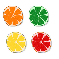 set of citrus fruits