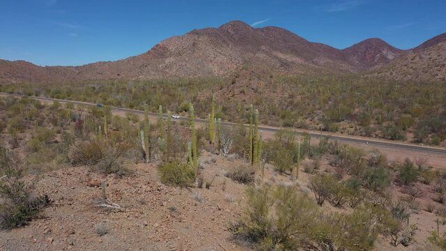 Typical mexican landscape with desert mountains and cactuses with road on the background