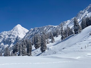 Obraz premium A natural fairy tale with an unrealistically beautiful snowy winter landscape of hills and alpine pastures of the Alpstein massif in the Obertoggenburg region - Nesslau, Switzerland (Schweiz)