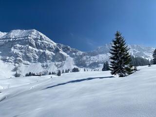 Fototapeta na wymiar A natural fairy tale with an unrealistically beautiful snowy winter landscape of hills and alpine pastures of the Alpstein massif in the Obertoggenburg region - Nesslau, Switzerland (Schweiz)