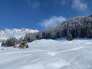A natural fairy tale with an unrealistically beautiful snowy winter landscape of hills and alpine pastures of the Alpstein massif in the Obertoggenburg region - Nesslau, Switzerland (Schweiz)