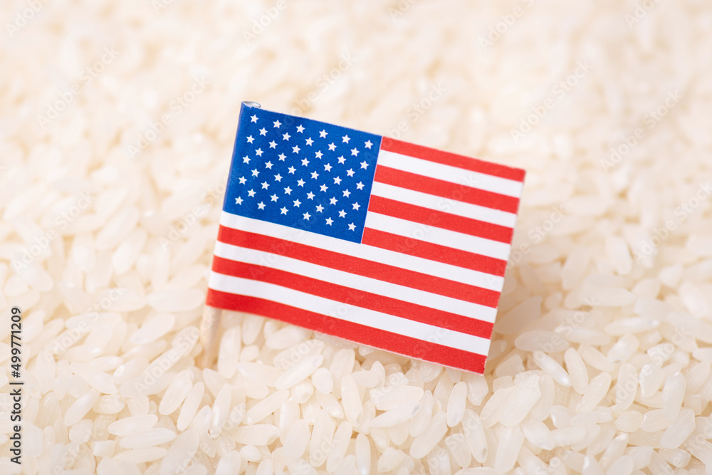 Poster Flag of USA on rice grain. Growing rice in USA concept