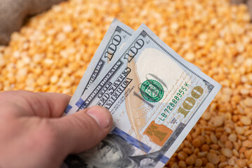 Hand with US dollars over yellow pea. Concept of price on grain, trade of yellow pea