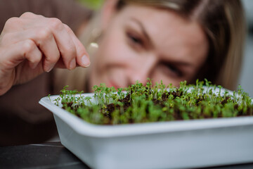 Woman looking at pot with cress growing from seed at home.