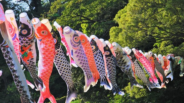 Carp Streamer