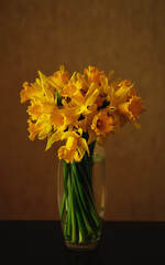Still life. Beautiful bouquet of vivid yellow daffodils in a glass vase on the beige background. Fresh spring flowers.