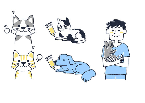 捨て猫 Images Browse 597 Stock Photos Vectors And Video Adobe Stock