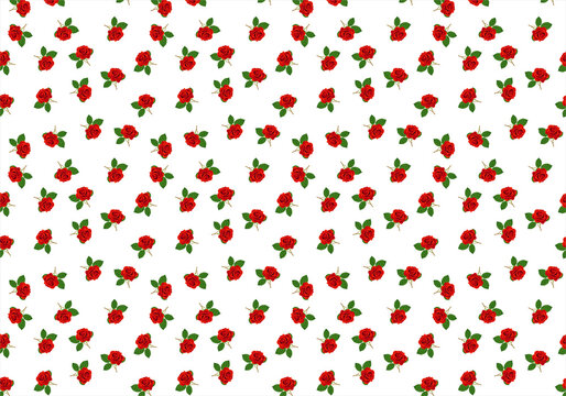 Estampado de rosas rojas sobre fondo blanco. Fondo floral de rosas rojas sobre fondo blanco