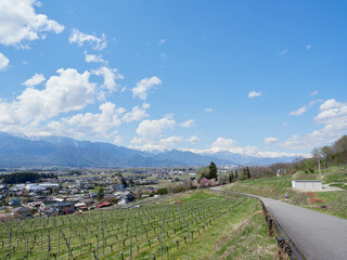 4月（春） 北アルプス展望美術館付近から見る北アルプス