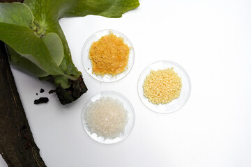 Organic Carnauba Wax, Candelilla Wax and Bath crystal in Chemical Watch Glass place near...