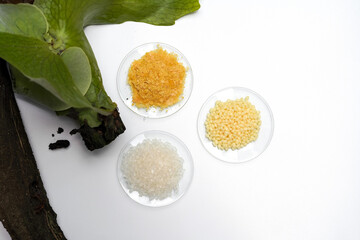 Organic Carnauba Wax, Candelilla Wax and Bath crystal in Chemical Watch Glass place near Platycerium stemaria ferns on white table. Top view