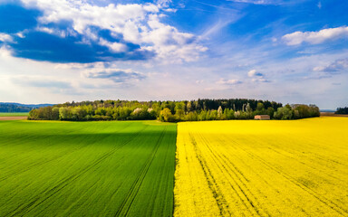 Obraz premium Landscape with field and blue sky