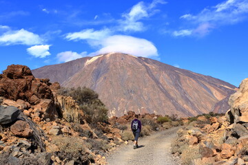 Obraz na płótnie Canvas Panorama view on island of Tenerife to the volcano Pico del Teide