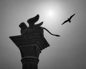 Venezia. Back lite of St Mark's column with seagull