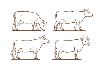 Contour cow icon set. Cute animal character in different poses. Vector illustration for prints, clothing, packaging, stickers.
