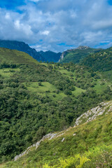 Naklejka premium Mountain Range, Picos de Europa National Park, Asturias, Spain, Europe