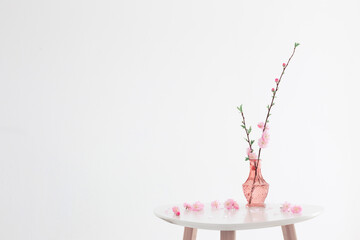 branches of blossoming almonds in  pink glass  vase on  white background