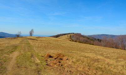 Hala Jaworowa Beskid Śląski © Hanna