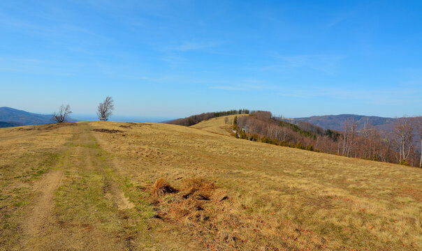 Hala Jaworowa Beskid Śląski