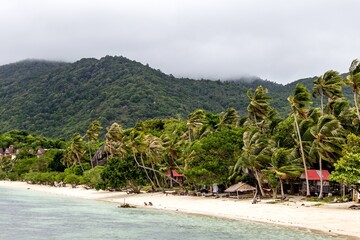 storm conditions swaying coconut trees on a scenic beach