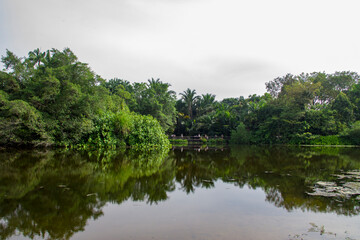 The view of Eco Lake in Botanic gardens Singapore. It has been ranked Asia's top park attraction since 2013, to be honoured as a UNESCO World Heritage Site.