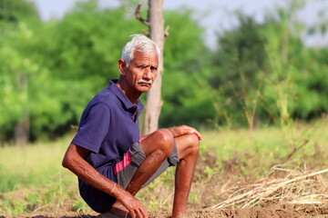 photo of An Indian Aged man farmer sitting in the field looking at the camera, India