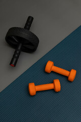 dumbbell and wheel slider